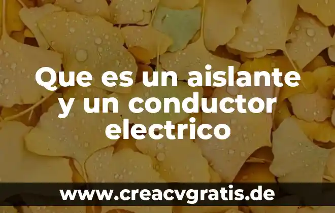 Que es un mercado electrico 8 Que es un aislante y un conductor electrico