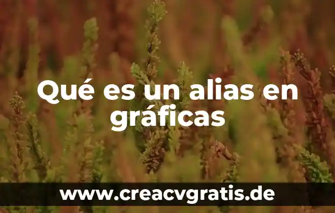 Qué es número de identificación jurídica 8 Qué es un alias en gráficas