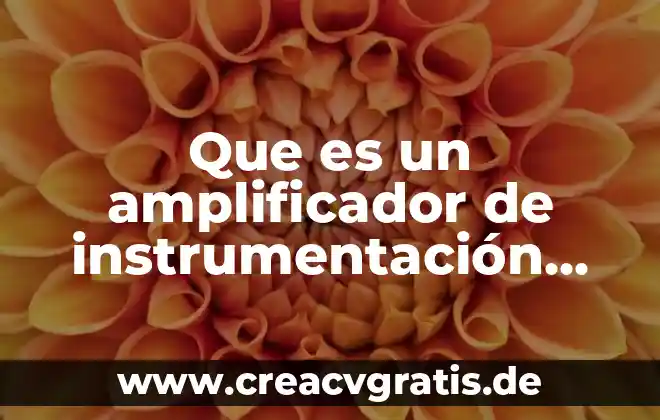 Qué es la sangre libros 7 Que es un amplificador de instrumentación libros