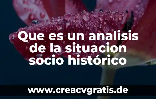 Que es una constancia situacion fiscal 6 Que es un analisis de la situacion socio histórico