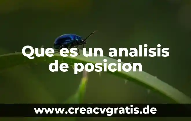 Análisis de roles y funciones que es 3 Que es un analisis de posicion