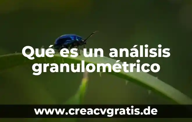 Qué es el embarazo saludable según la OMS 4 Qué es un análisis granulométrico