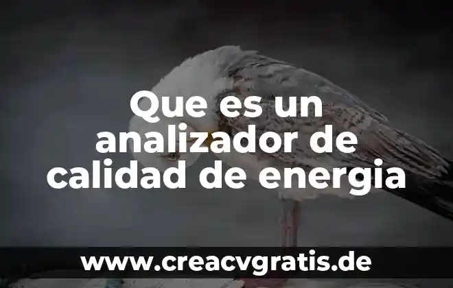 Administracion que es calidad 4 Que es un analizador de calidad de energia