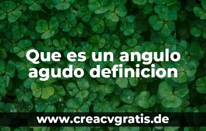 Que es significa palabra prolongada 8 Que es un angulo agudo definicion