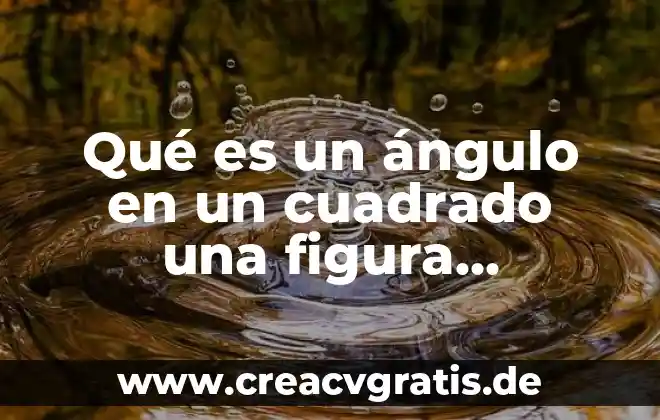 Que es una figura irregular definicion 8 Qué es un ángulo en un cuadrado una figura geométrica