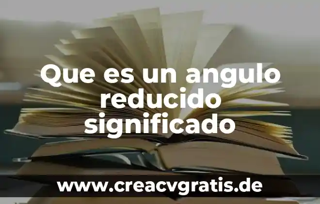 Que es angulo central en circulo concepto 5 Que es un angulo reducido significado