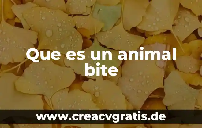 Que es la transitividad en logica 8 Que es un animal bite