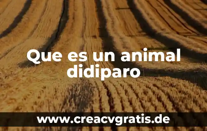 Qué es un coli animal 5 Que es un animal didiparo