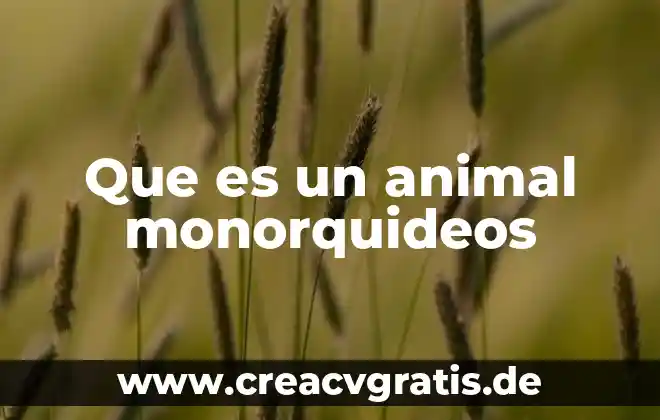 Qué es un parámetro de producción animal 5 Que es un animal monorquideos