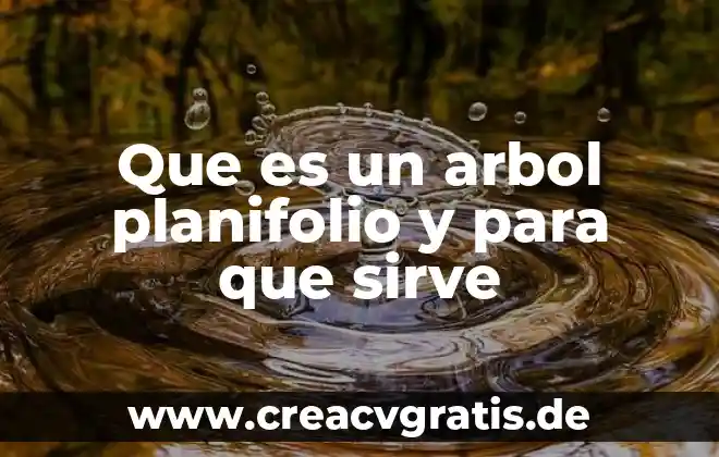 Diagrama de árbol y principio multiplicativo que es 6 Que es un arbol planifolio y para que sirve