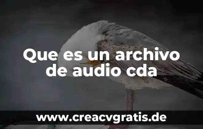 Que es un archivo oculto 3 Que es un archivo de audio cda