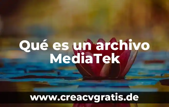 Que es una pestaña de archivo chome 6 Qué es un archivo MediaTek