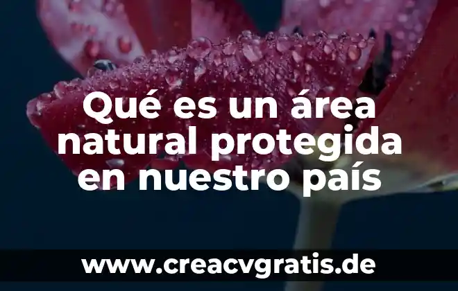 Qué es un farmaco natural 5 Qué es un área natural protegida en nuestro país