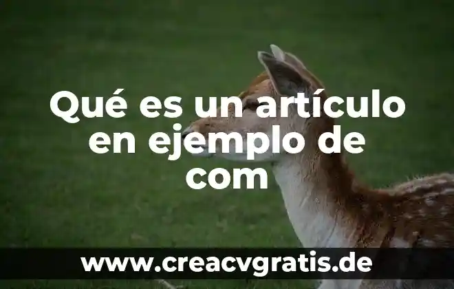 Que es beta com mx 7 Qué es un artículo en ejemplo de com