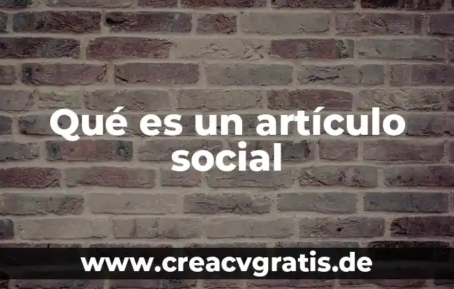 Denominación o razón social que es 8 Qué es un artículo social