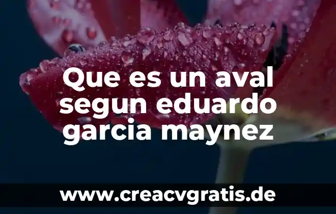 Que es una persona juridica segun maynez 3 Que es un aval segun eduardo garcia maynez