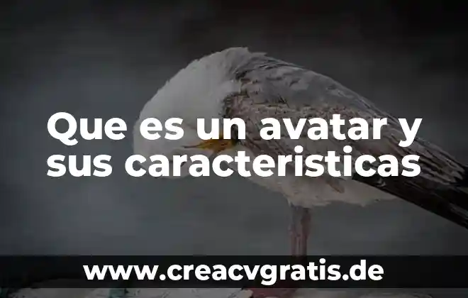 Que es la polemica concepto y caracteristicas 6 Que es un avatar y sus caracteristicas