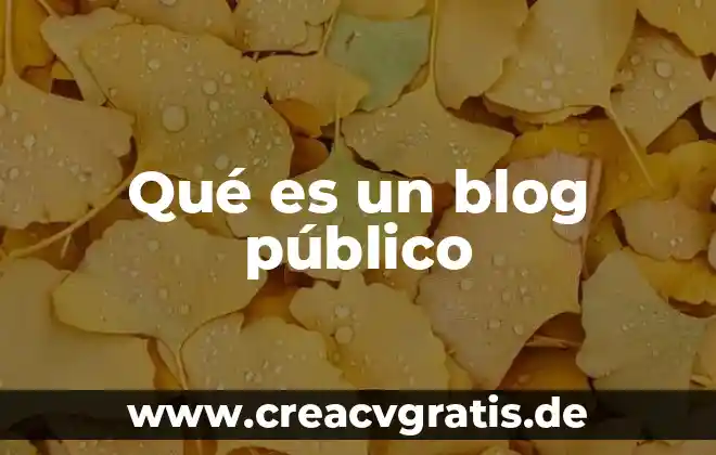 Qué es el derecho público 8 Qué es un blog público