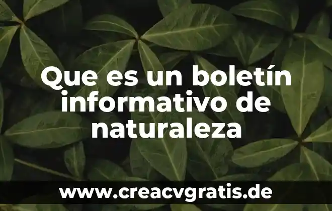Que es un boletin de noticias y ejemplos 5 Que es un boletín informativo de naturaleza