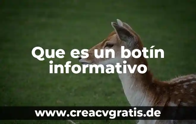 Que es un archivo informativo 8 Que es un botín informativo