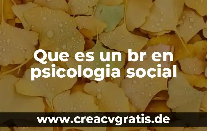 Que es cuadra de nombres 3 Que es un br en psicologia social