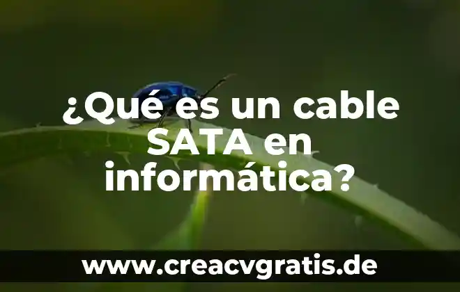 Qué es conmutación informática definición 4 ¿Qué es un cable SATA en informática?