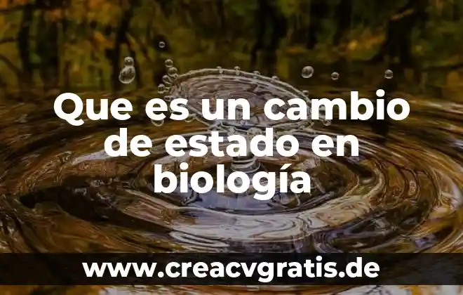Que es una prueba de embarazo falso positivo 8 Que es un cambio de estado en biología