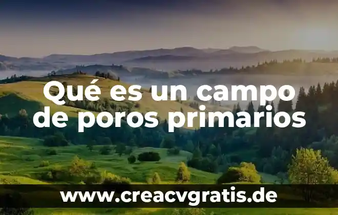 Que es un campo de golf link 7 Qué es un campo de poros primarios