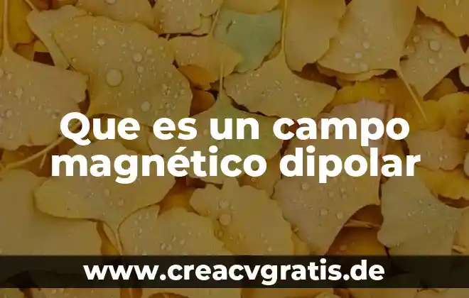 Que es un cargo magnético 5 Que es un campo magnético dipolar