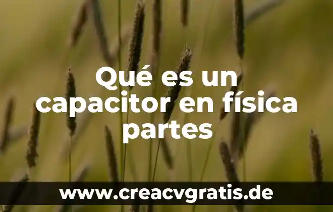 Física que es la realidad 8 Qué es un capacitor en física partes