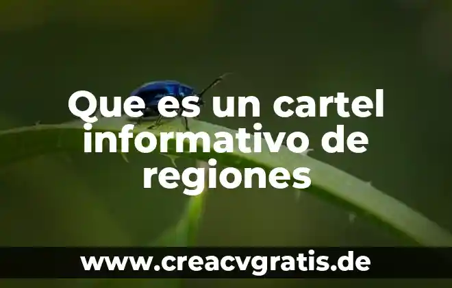 Que es el pensamiento matematico critico 5 Que es un cartel informativo de regiones