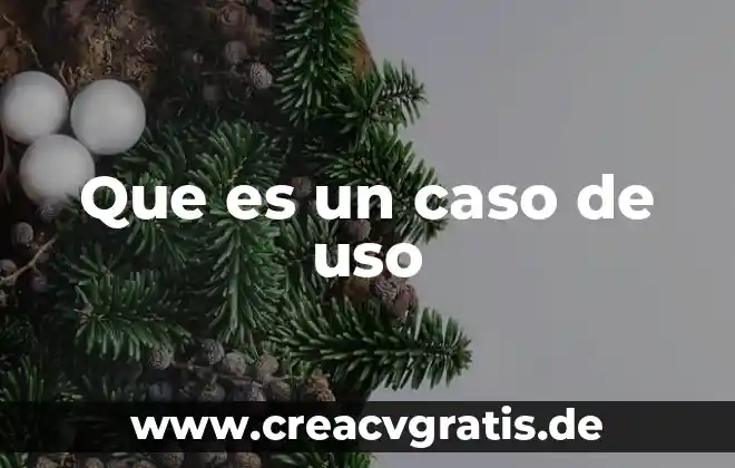 Que es un caso latino 7 Que es un caso de uso
