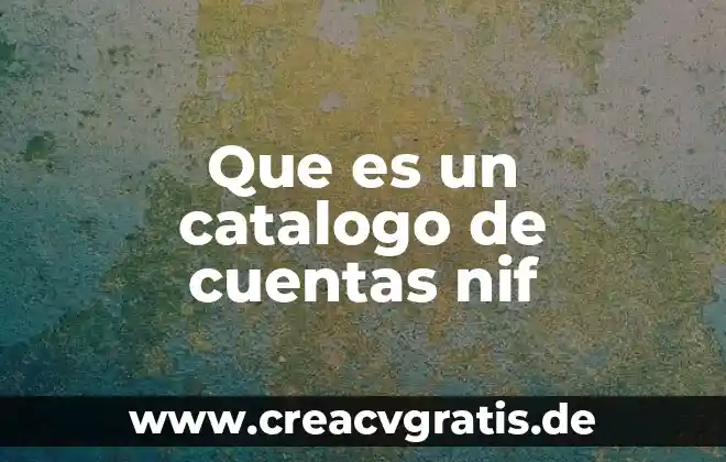 Qué es un activo y pasivo y sus cuentas 3 Que es un catalogo de cuentas nif