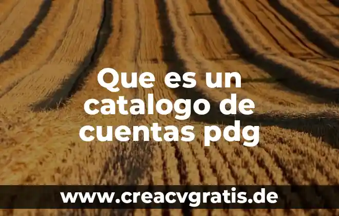 Qué es un catálogo de cuentas y sus tipos 4 Que es un catalogo de cuentas pdg
