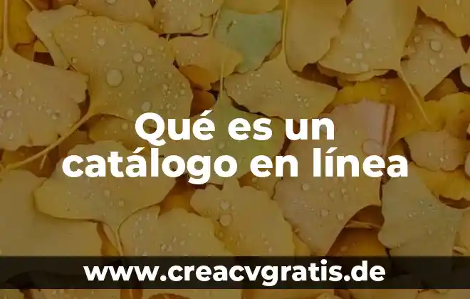 Que es catalogo de cuentas departamentales 3 Qué es un catálogo en línea