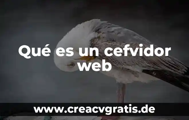 Que es un color de pagina web 5 Qué es un cefvidor web