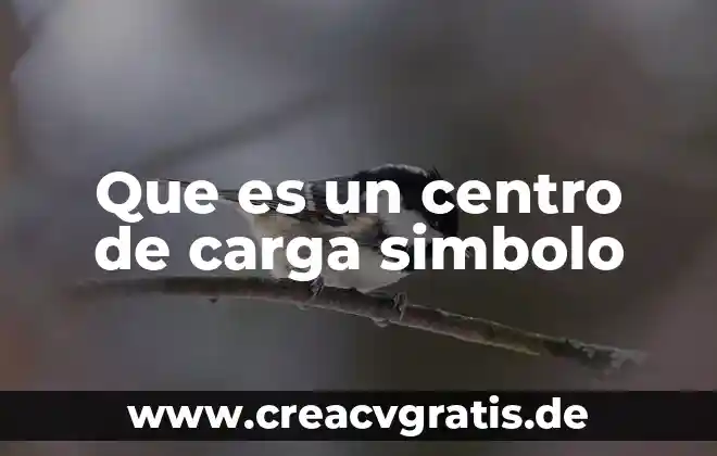 Qué es símbolo matemático 5 Que es un centro de carga simbolo