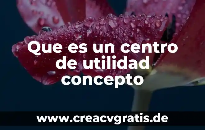 Qué es concepto estadístico 4 Que es un centro de utilidad concepto