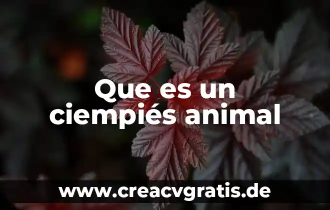 Que es contracondicionamiento animal 7 Que es un ciempiés animal