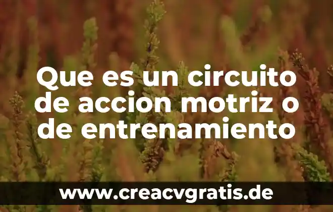 Que es la circuito electrónico tipos 6 Que es un circuito de accion motriz o de entrenamiento