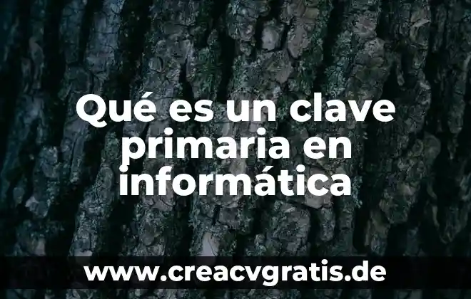 Qué es el número cetano 8 Qué es un clave primaria en informática
