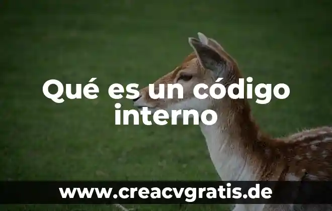 Que es el código germánico 8 Qué es un código interno