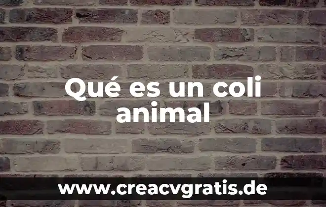 Que es un animal descerebrado 3 Qué es un coli animal