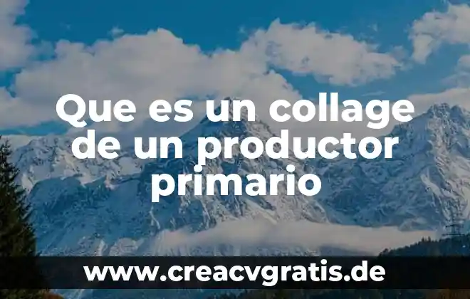 Que es la violencia y tipos de violencia collage 6 Que es un collage de un productor primario