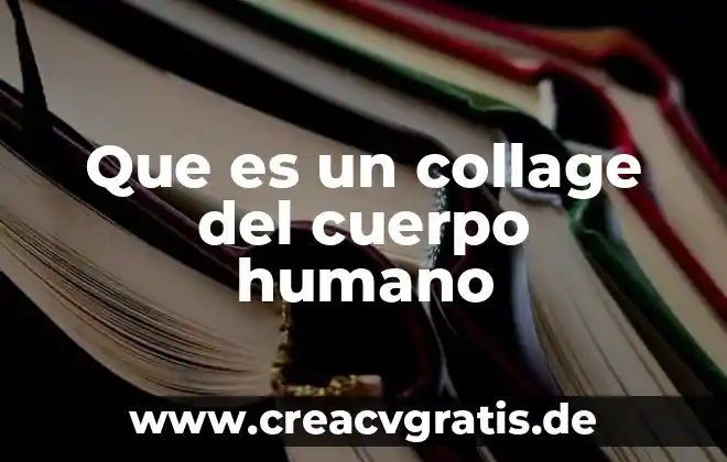 Que es la violencia y tipos de violencia collage 3 Que es un collage del cuerpo humano