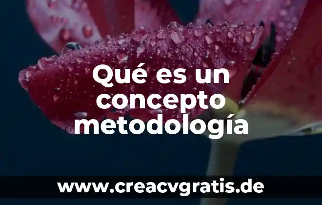 Que es tipos de investigacion metodologia 3 Qué es un concepto metodología