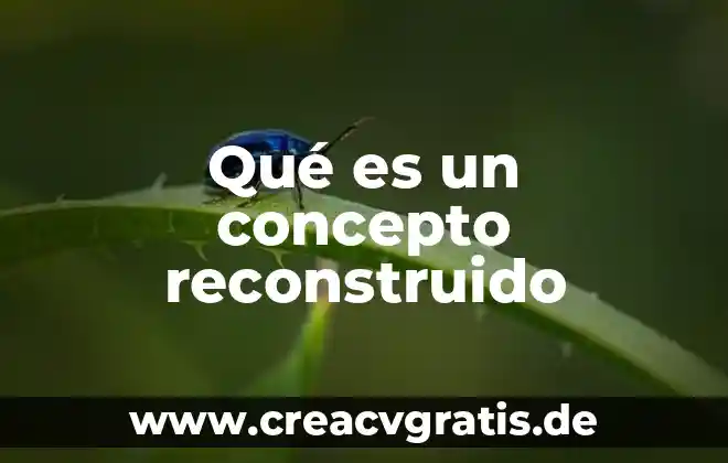 Que es la perinola concepto 7 Qué es un concepto reconstruido