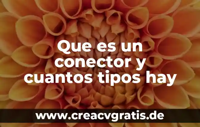 Que es el arte y cuantos tipos de arte hay 3 Que es un conector y cuantos tipos hay
