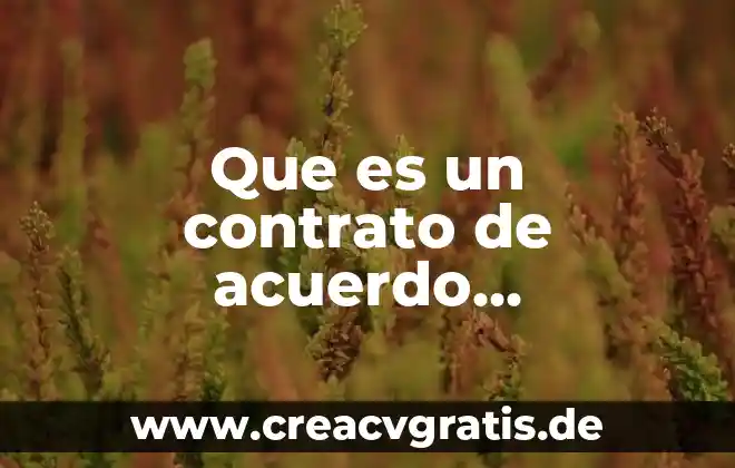 Que es pensamiento sistemico de acuerdo a sistemas suaves 8 Que es un contrato de acuerdo prenupcial