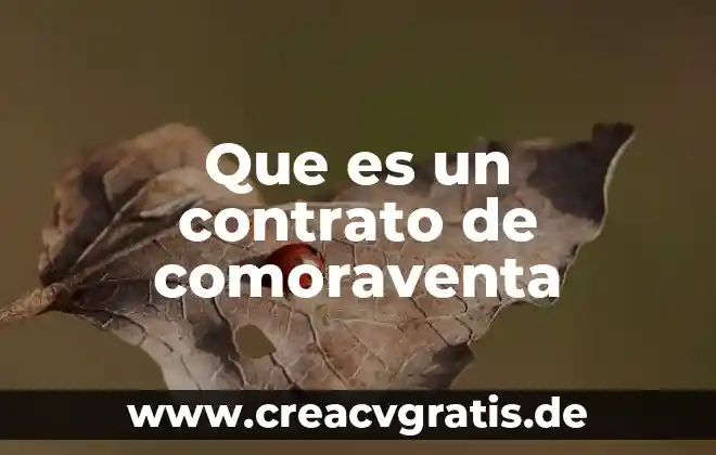 Que es un contrato codigo de etica usos y costumbres 3 Que es un contrato de comoraventa
